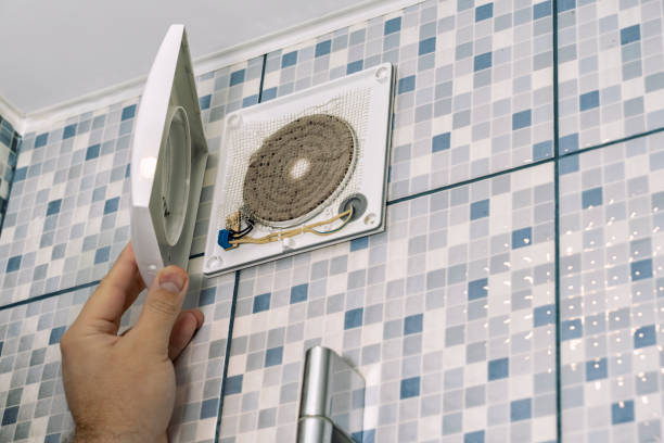 Best Dryer Vent Cleaning Services  in Townsend, DE
