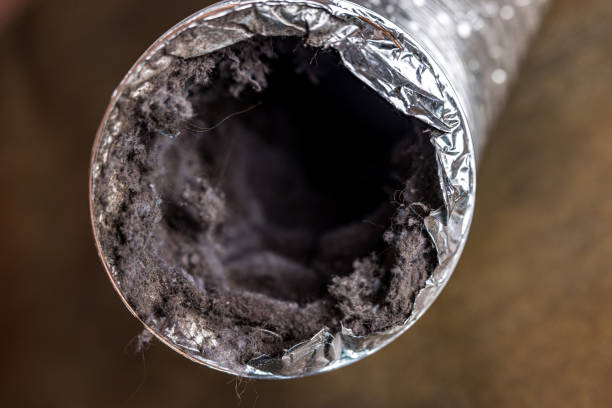 Best Emergency Air Duct Cleaning  in Townsend, DE